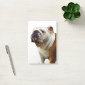 Post-it® Bouledogue (Bureau)