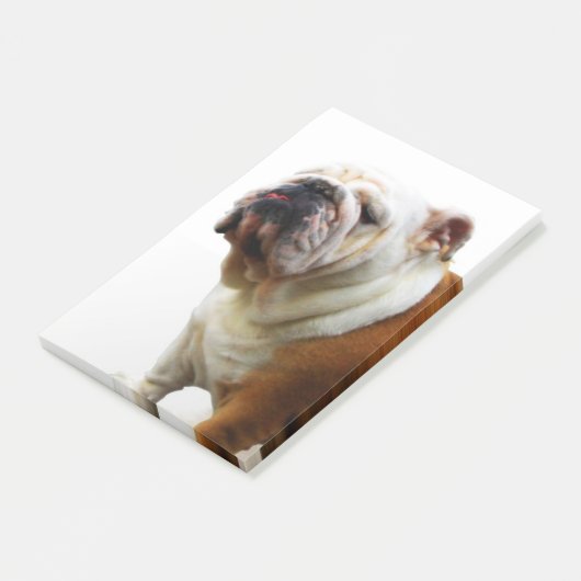 Post-it® Bouledogue (Incliné)