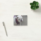 Post-it® Bouledogue adorable (Bureau)