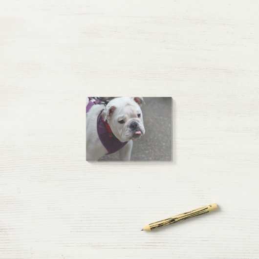Post-it® Bouledogue adorable (Sur un bureau)