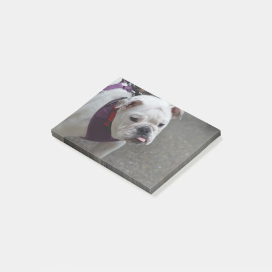 Post-it® Bouledogue adorable (Incliné)