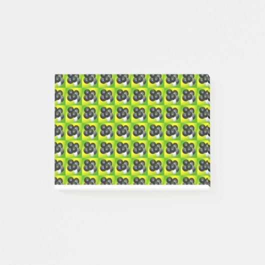 Post-it® Boules De Pelouse Sur La Chaux. (Devant)