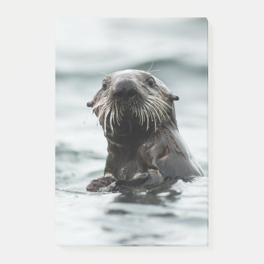 Post-it® Bouton (Devant)