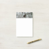 Post-it® Branche des pins neigeux Photographie de la nature (Sur un bureau)