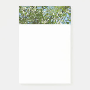 Post-it® Branche of Dogwood Blossoms Spring Trees