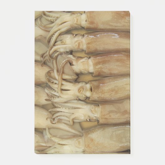 Post-it® Calamari (Devant)