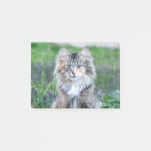 Post-it® Calico Cat (Devant)