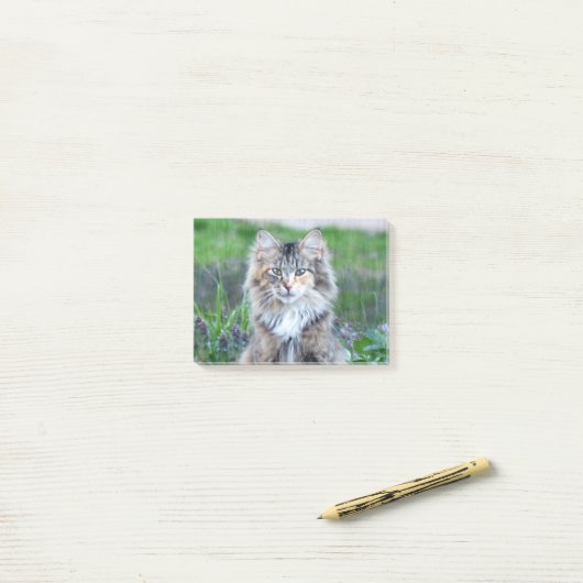 Post-it® Calico Cat (Sur un bureau)