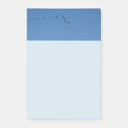 Post-it® Canadian geese (Devant)