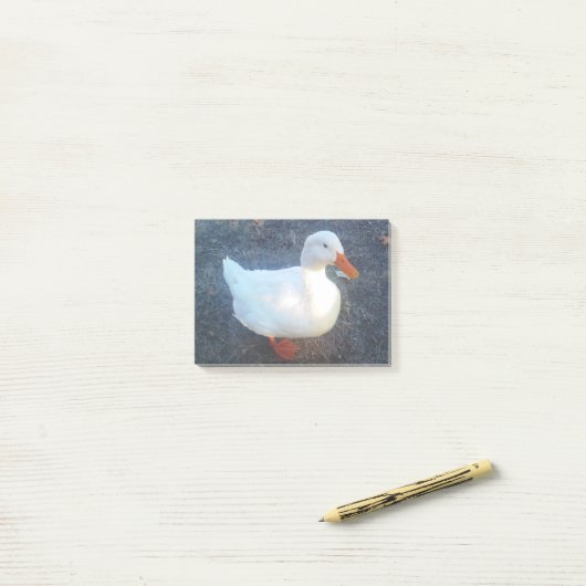 Post-it® Canard (Sur un bureau)