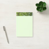 Post-it® Canopée du printemps Feuille Green Nature Scene (Bureau)