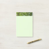 Post-it® Canopée du printemps Feuille Green Nature Scene (Sur un bureau)