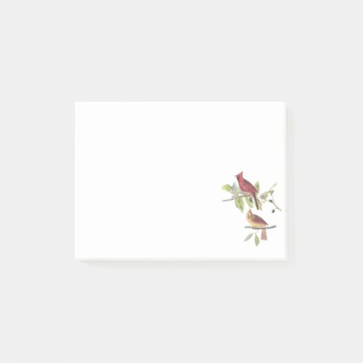 Post-it® Cardinal du nord par Audubon (Devant)