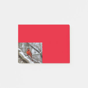 Post-it® Cardinal masculin