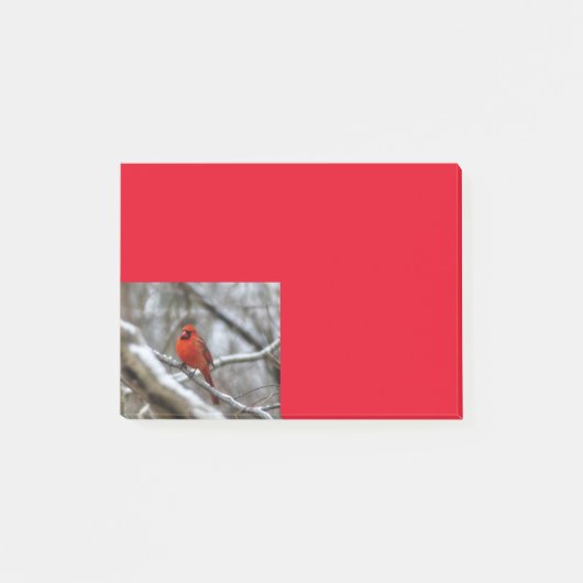 Post-it® Cardinal masculin (Devant)