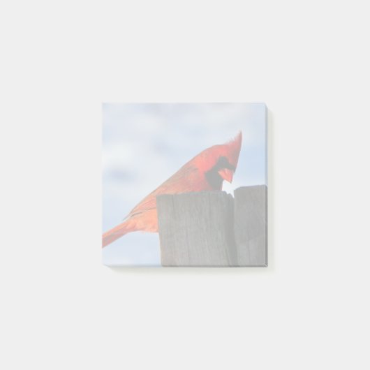 Post-it® Cardinal rouge sur la souche en bois (Devant)