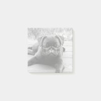 Carlin mignon Amoureux des chiens chiot noir et bl