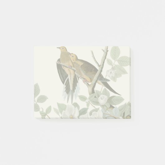 Post-it® Carolina Pigeon Audubon Morning Dove (Devant)