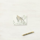 Post-it® Carolina Pigeon Audubon Morning Dove (Sur un bureau)