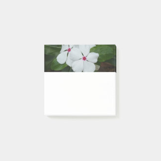 Post-it® Carré de fleurs hawaïennes blanches