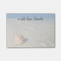 Casque Shell dans Lagoon| tropical Cassis Rufa