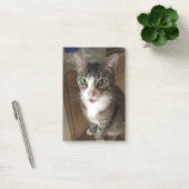 Post-it® Cat (Bureau)