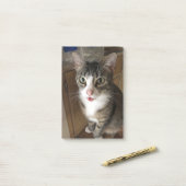 Post-it® Cat (Sur un bureau)