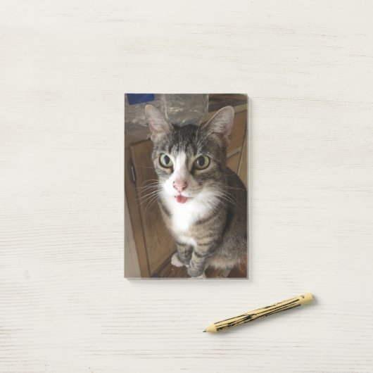 Post-it® Cat (Sur un bureau)
