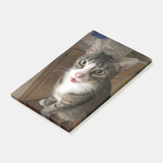 Post-it® Cat (Incliné)
