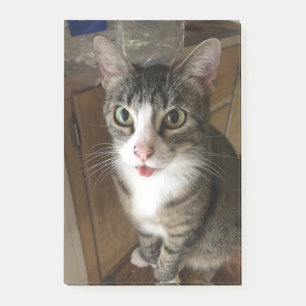 Post-it® Cat