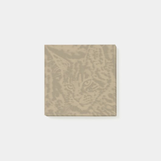 Post-it® Cats de Maine Coon 3 par 3 (Devant)