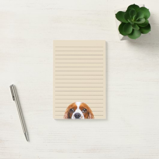Post-it® Cavalier Charles Spaniel (Bureau)