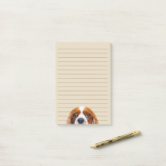 Post-it® Cavalier Charles Spaniel (Sur un bureau)