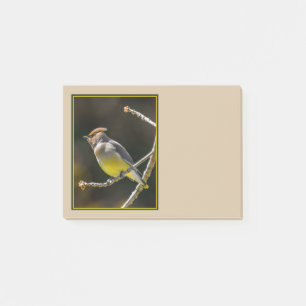 Post-it® Cèdre cire Songbird Photo originale Oiseau sauvage