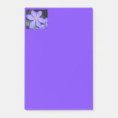 Post-it® Césarine (Devant)