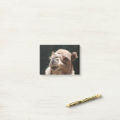 Post-it® Chameau de journée en milieu de semaine (Sur un bureau)