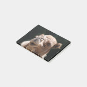 Post-it® Chameau de journée en milieu de semaine (Incliné)