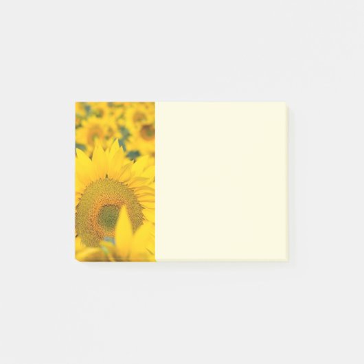 Post-it® Champ jaune de tournesols photo (Devant)