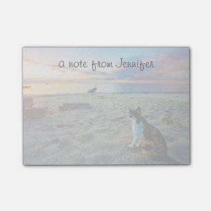 Post-it® Chat Assis Sur Une Plage