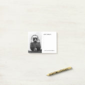 Post-it® Chat dans une photo de cru de panier (Sur un bureau)