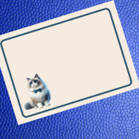 Chat de poupée mignonne