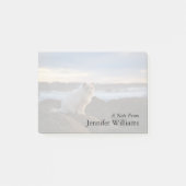 Post-it® Chat de Ragdoll à la plage (Devant)