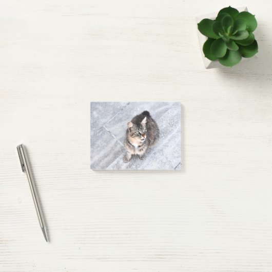 Post-it® Chat domestique (Bureau)