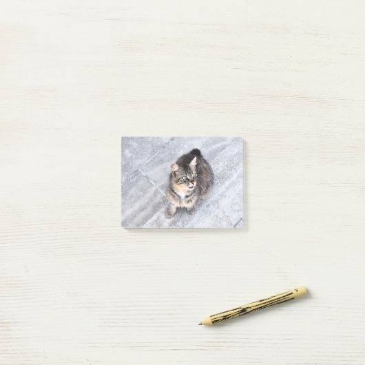 Post-it® Chat domestique (Sur un bureau)