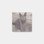 Post-it® Chat gris (Devant)