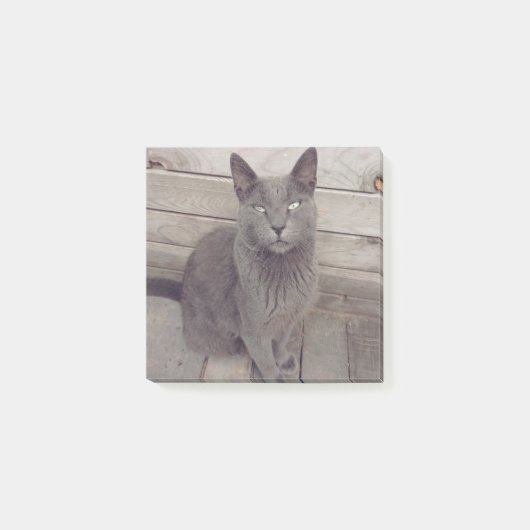 Post-it® Chat gris (Devant)