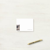 Post-it® Chat pirate (Sur un bureau)