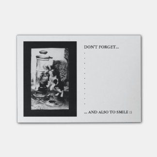 Post-it® Chat régénérant dans la fontaine