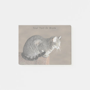 Post-it® Chat tigré gris fumeux