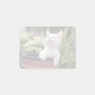 Post-it® Chaton blanc turc